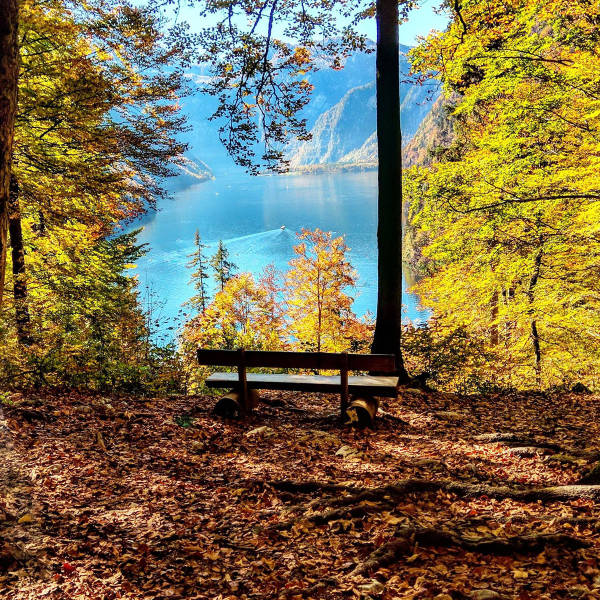 morning picdump 50 pics 2.html - 50 HD Photos | Premium Gallery 2017