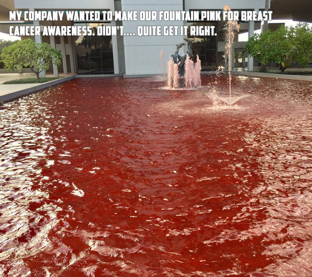 morning picdump 50 pics 2.html - 50 HD Photos | Premium Gallery 2017