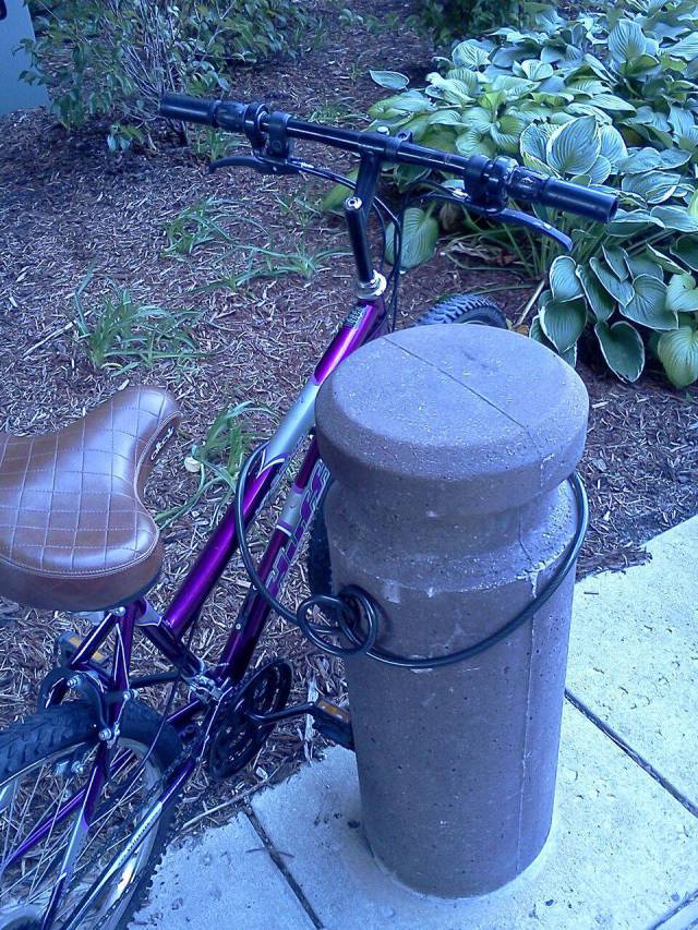 morning picdump 50 pics 2.html - 50 HD Photos | Premium Gallery 2017