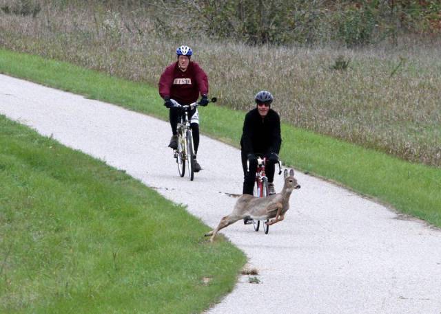 Daily Picdump [WEEKEND EDITION]