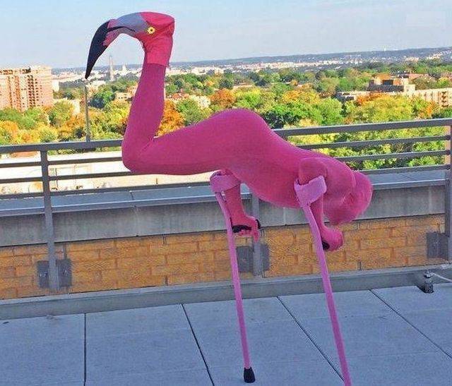 Daily Picdump [WEEKEND EDITION]