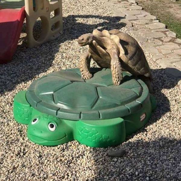 daily picdump weekend edition 66 pics 14.html - 66 HD Photos | Premium Gallery 2017