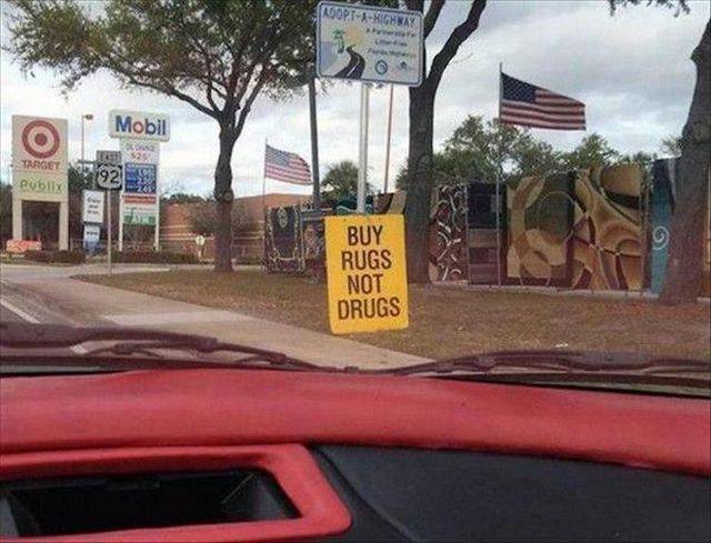 daily picdump weekend edition 66 pics 14.html - 66 HD Photos | Premium Gallery 2017