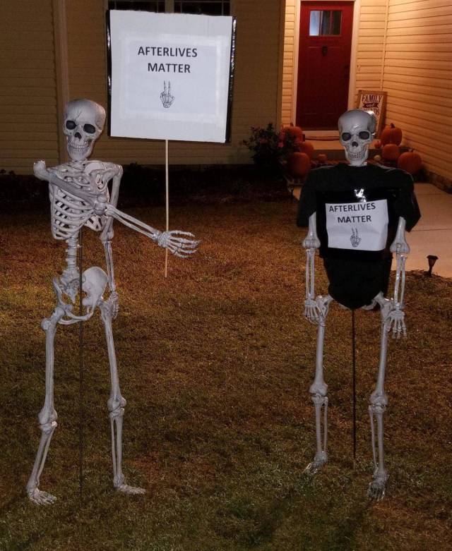 daily picdump weekend edition 66 pics 14.html - 66 HD Photos | Premium Gallery 2017