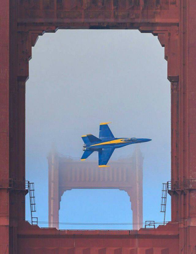 daily picdump weekend edition 66 pics 14.html - 66 HD Photos | Premium Gallery 2017