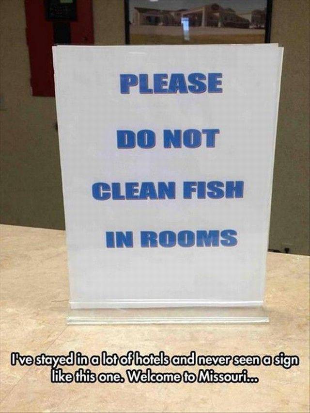 daily picdump weekend edition 66 pics 14.html - 66 HD Photos | Premium Gallery 2017