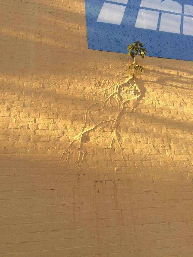 daily picdump weekend edition 66 pics 14.html - 66 HD Photos | Premium Gallery 2017