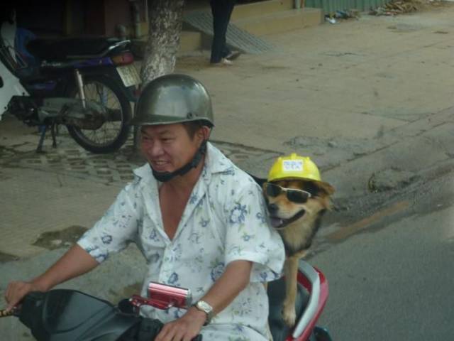 Asians Are Always Hilarious