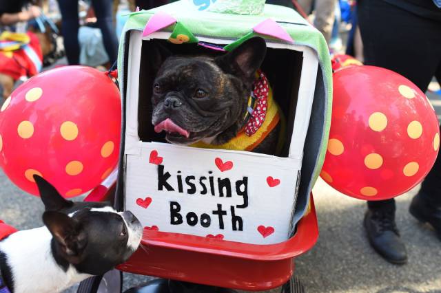 daily picdump 95 pics 3.html - 95 HD Photos | Premium Gallery 2017