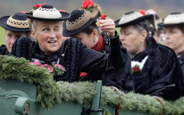 daily picdump 95 pics 3.html - 95 HD Photos | Premium Gallery 2017