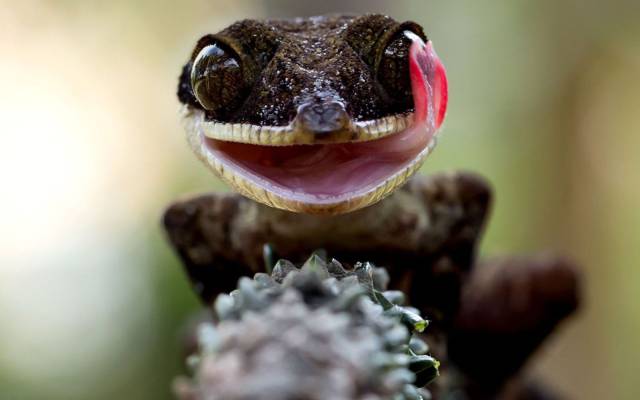 daily picdump 95 pics 3.html - 95 HD Photos | Premium Gallery 2017