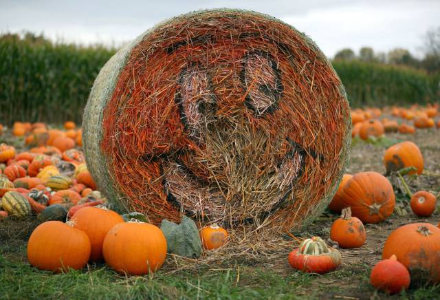 daily picdump 95 pics 3.html - 95 HD Photos | Premium Gallery 2017