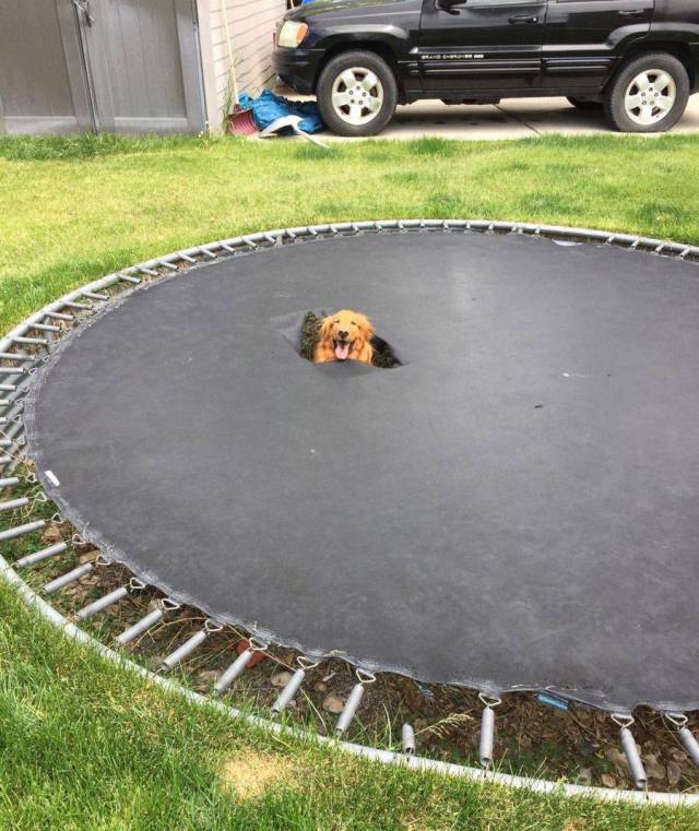 daily picdump 95 pics 3.html - 95 HD Photos | Premium Gallery 2017