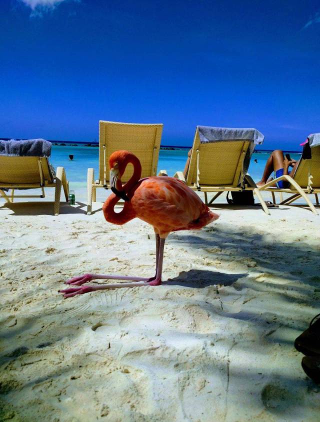 daily picdump 95 pics 3.html - 95 HD Photos | Premium Gallery 2017