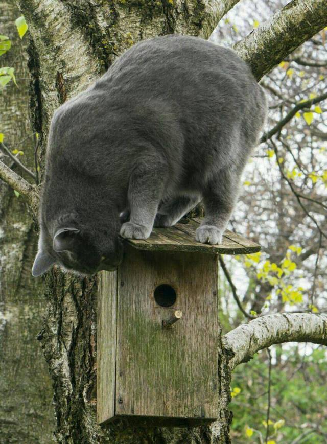 daily picdump 95 pics 3.html - 95 HD Photos | Premium Gallery 2017