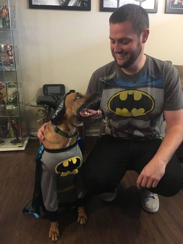 daily picdump 95 pics 3.html - 95 HD Photos | Premium Gallery 2017