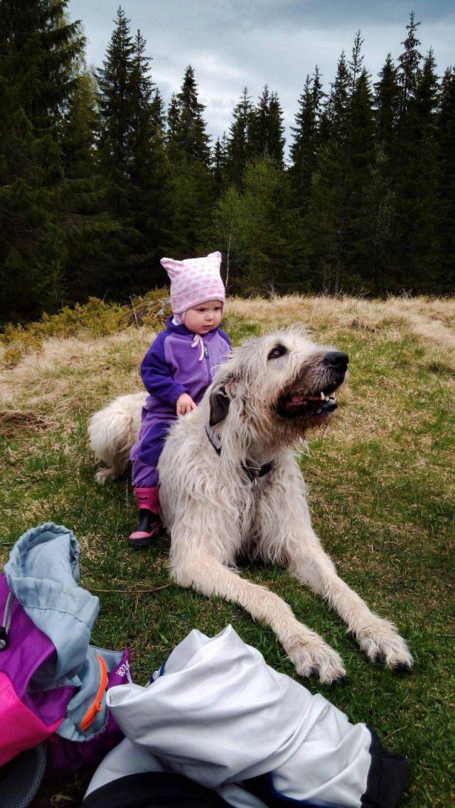 daily picdump 95 pics 3.html - 95 HD Photos | Premium Gallery 2017