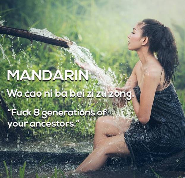 Kinky Insults From All Around The World