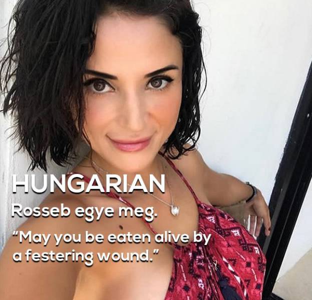 Kinky Insults From All Around The World