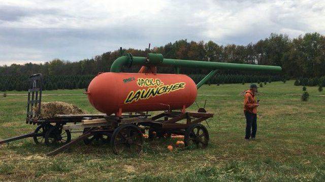 daily picdump 102 pics 4.html - 102 HD Photos | Premium Gallery 2017