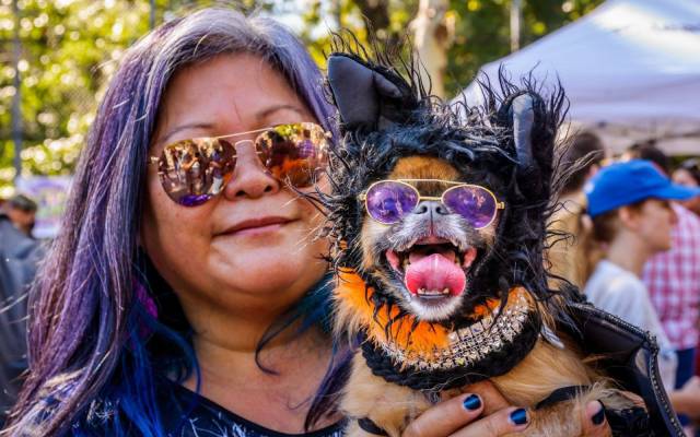 daily picdump 102 pics 4.html - 102 HD Photos | Premium Gallery 2017