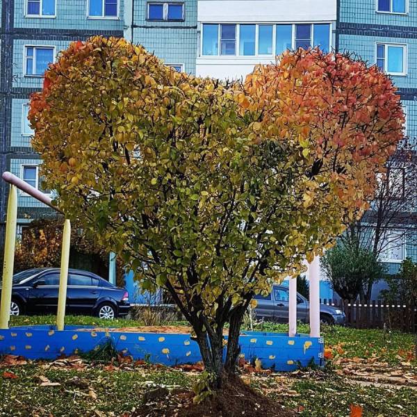 daily picdump 102 pics 4.html - 102 HD Photos | Premium Gallery 2017