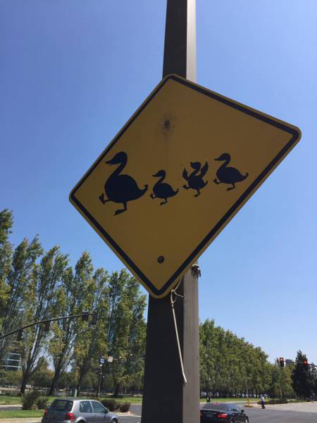 morning picdump 54 pics 2.html - 54 HD Photos | Premium Gallery 2017