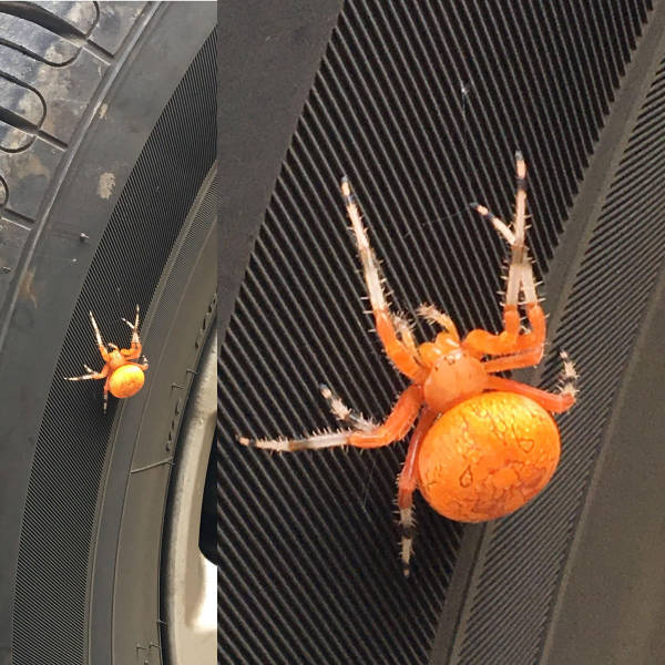 morning picdump 54 pics 2.html - 54 HD Photos | Premium Gallery 2017