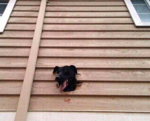 daily picdump 104 pics 4.html - 104 HD Photos | Premium Gallery 2017