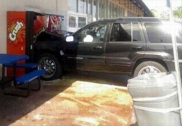 daily picdump 104 pics 4.html - 104 HD Photos | Premium Gallery 2017