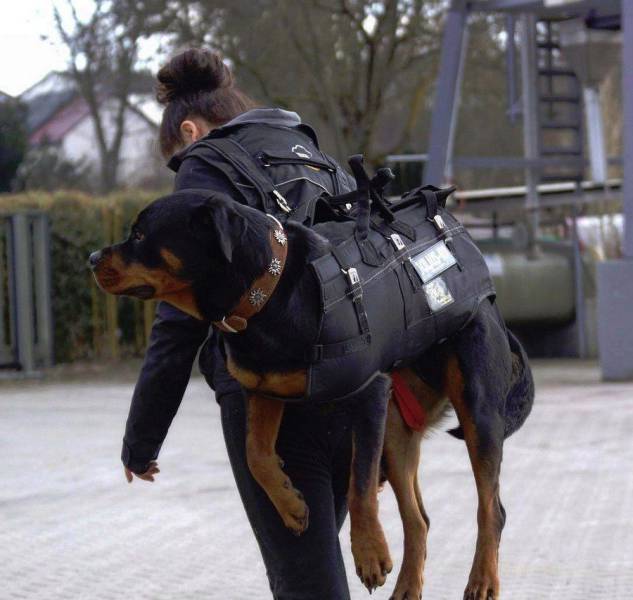 daily picdump 104 pics 4.html - 104 HD Photos | Premium Gallery 2017