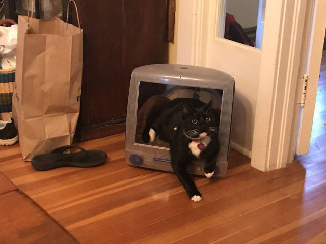 morning picdump 52 pics 1.html - 52 HD Photos | Premium Gallery 2017