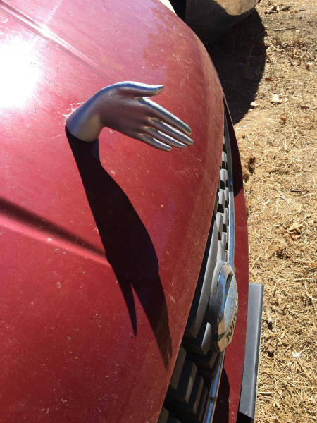 morning picdump 52 pics 1.html - 52 HD Photos | Premium Gallery 2017