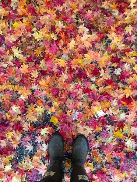 morning picdump 52 pics 1.html - 52 HD Photos | Premium Gallery 2017