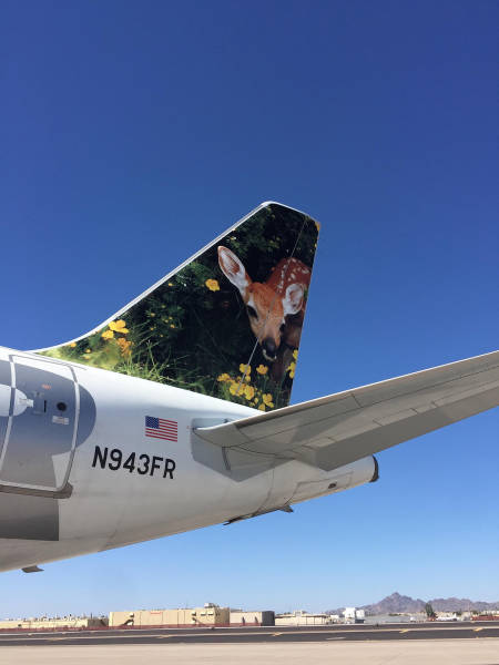 morning picdump 52 pics 1.html - 52 HD Photos | Premium Gallery 2017