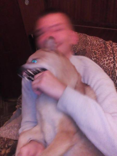 Blurry Photos Are Great As Well!