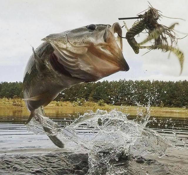 Blurry Photos Are Great As Well!