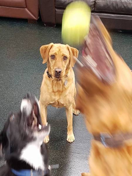 Blurry Photos Are Great As Well!