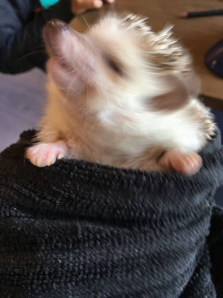 Blurry Photos Are Great As Well!