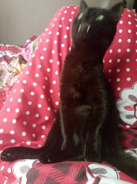 Blurry Photos Are Great As Well!