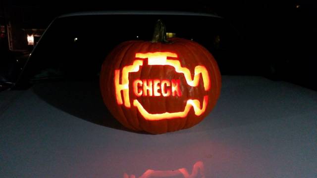 daily picdump 96 pics 41.html - 96 HD Photos | Premium Gallery 2017