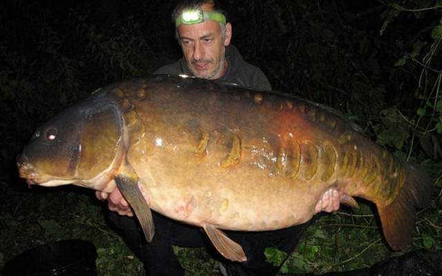 daily picdump 96 pics 41.html - 96 HD Photos | Premium Gallery 2017