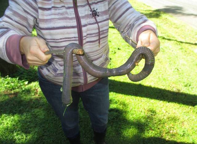 daily picdump 96 pics 41.html - 96 HD Photos | Premium Gallery 2017