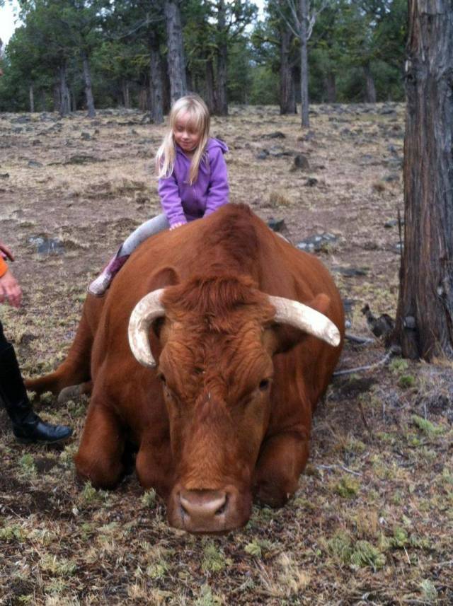 daily picdump 96 pics 41.html - 96 HD Photos | Premium Gallery 2017