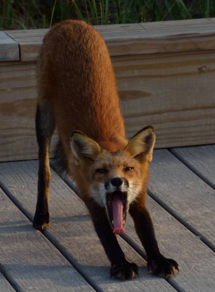 morning picdump 50 pics 2.html - 50 HD Photos | Premium Gallery 2017