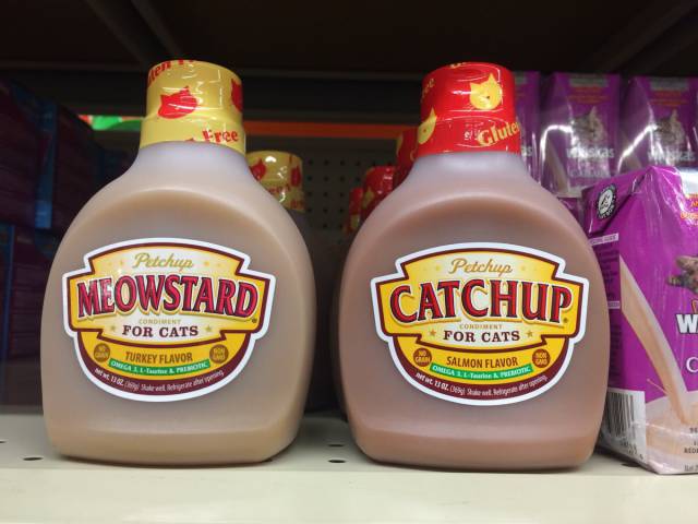 morning picdump 50 pics 2.html - 50 HD Photos | Premium Gallery 2017