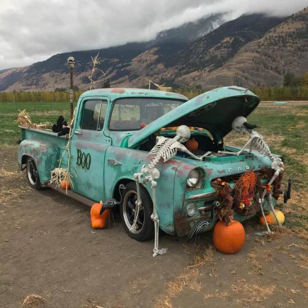 morning picdump 50 pics 2.html - 50 HD Photos | Premium Gallery 2017