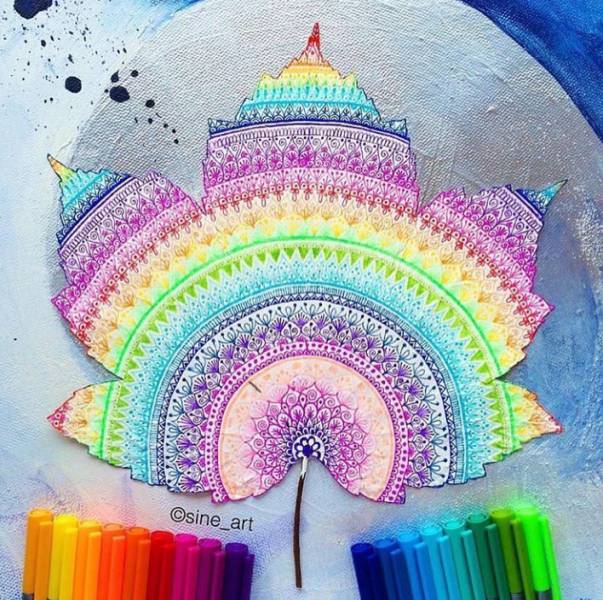 morning picdump 50 pics 2.html - 50 HD Photos | Premium Gallery 2017