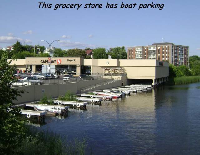 daily picdump 98 pics 45.html - 98 HD Photos | Premium Gallery 2017