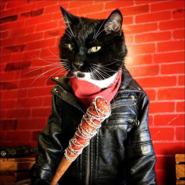 daily picdump 98 pics 45.html - 98 HD Photos | Premium Gallery 2017